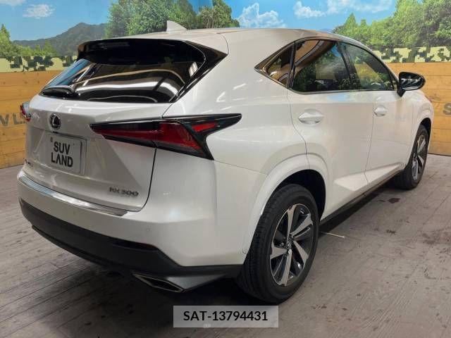 Lexus NX 2020-10 275641-17
