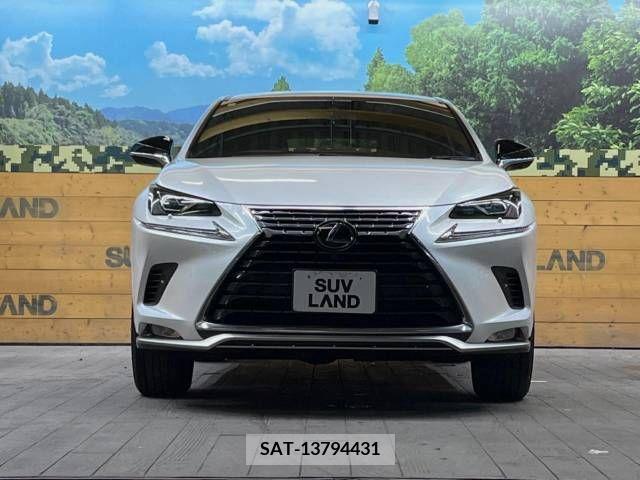 Lexus NX 2020-10 275641-14