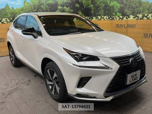 Lexus NX 2020-10 275641-16