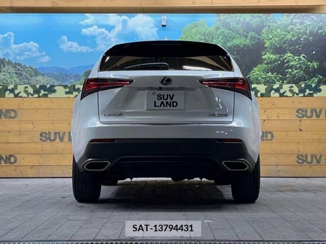 Lexus NX 2020-10 275641-15