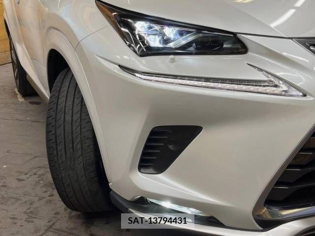 Lexus NX 2020-10 275641-12