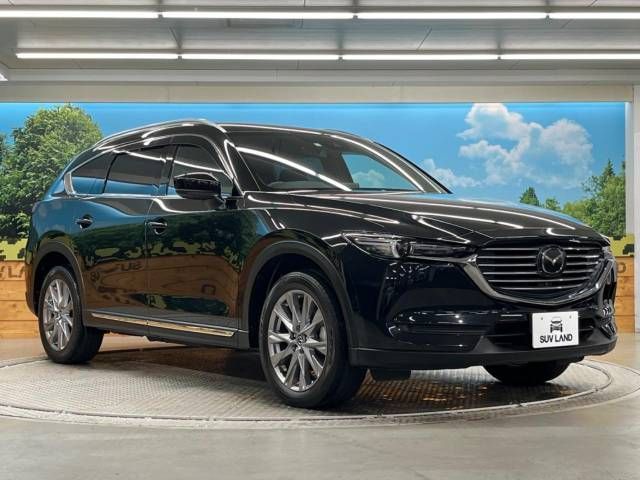 Mazda CX-8 2020-02 16216-16