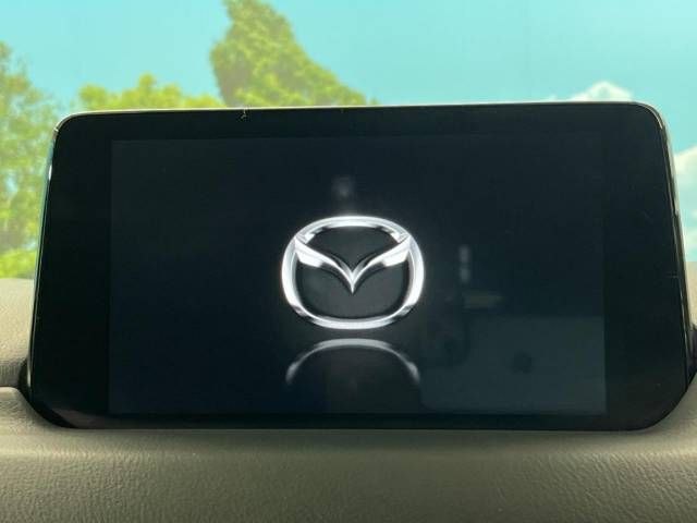 Mazda CX-8 2020-02 16216-2