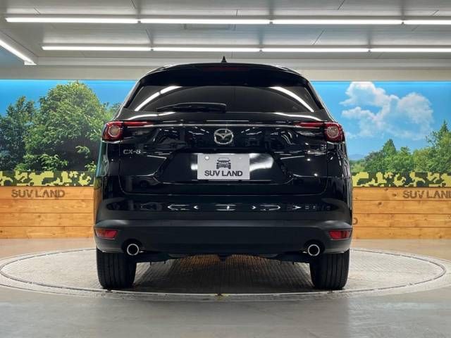 Mazda CX-8 2020-02 16216-15