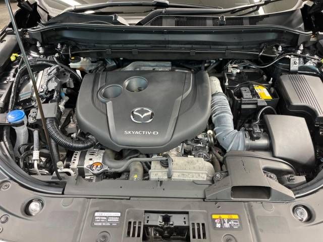 Mazda CX-8 2020-02 16216-18
