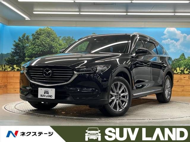 Mazda CX-8 2020-02 16216-0
