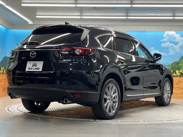 Mazda CX-8 2020-02 16216-17