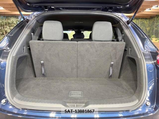 Mazda CX-8 2018-06 379900-13