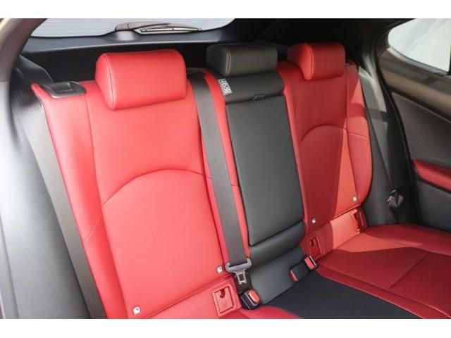 Lexus UX 2019-04 25266-11