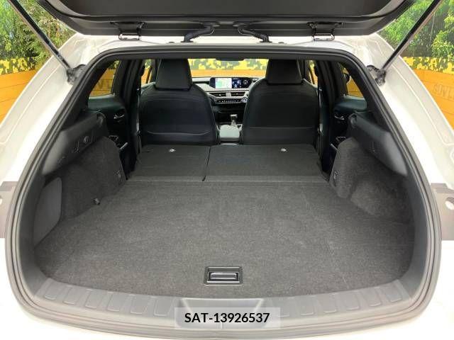 Lexus UX 2019-09 391955-10