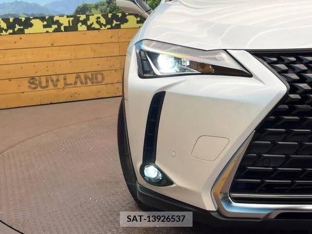 Lexus UX 2019-09 391955-16