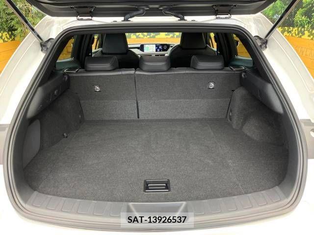 Lexus UX 2019-09 391955-9