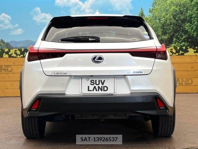 Lexus UX 2019-09 391955-13