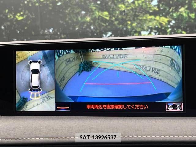 Lexus UX 2019-09 391955-3
