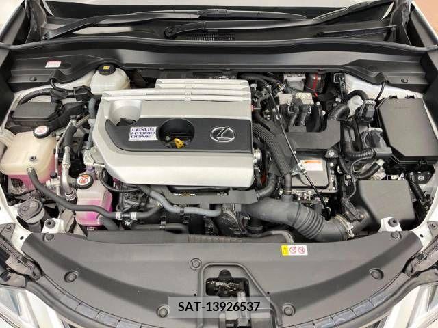 Lexus UX 2019-09 391955-18