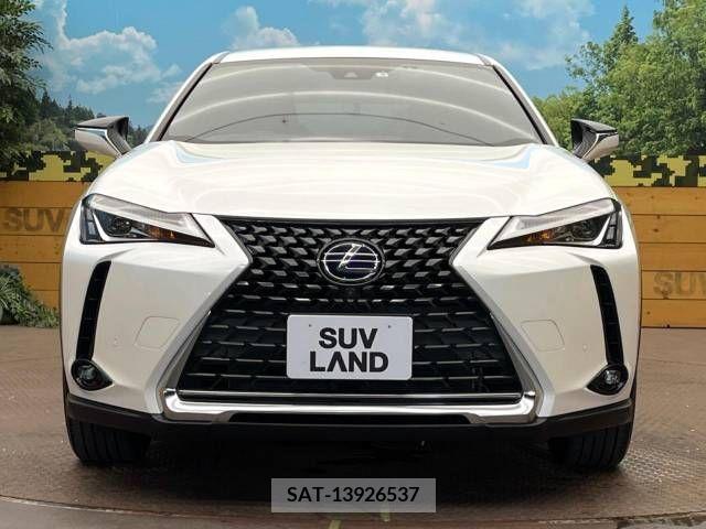 Lexus UX 2019-09 391955-12