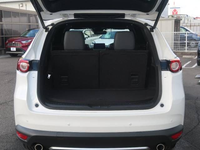 Mazda CX-8 2020-01 186105-10