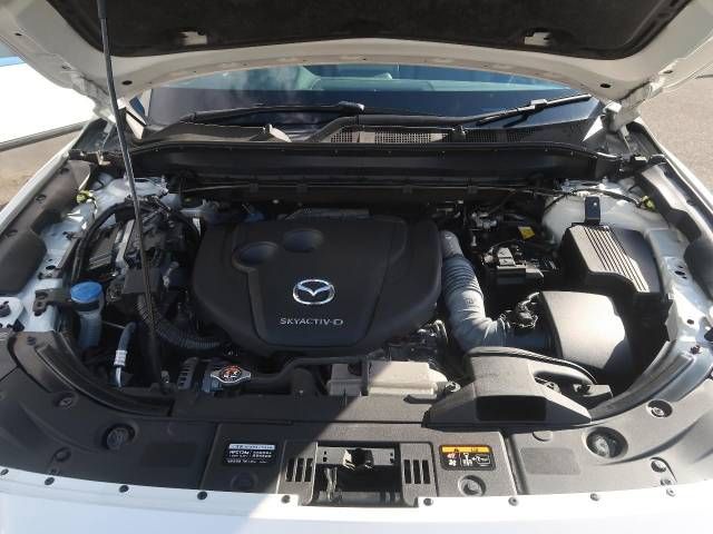 Mazda CX-8 2020-01 186105-18