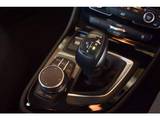 Bmw 2 SERIES 2017-03 19313-15