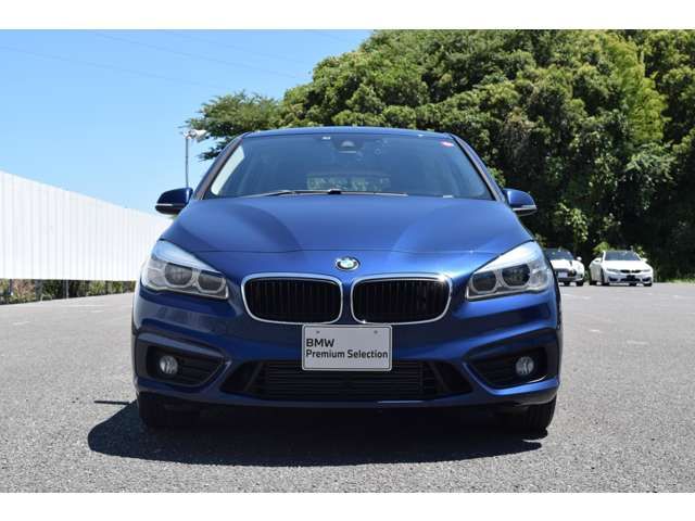 Bmw 2 SERIES 2017-03 19313-1