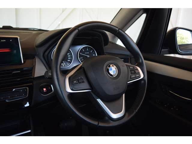 Bmw 2 SERIES 2017-03 19313-13