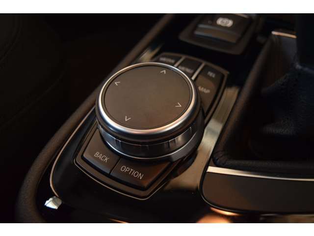 Bmw 2 SERIES 2017-03 19313-16