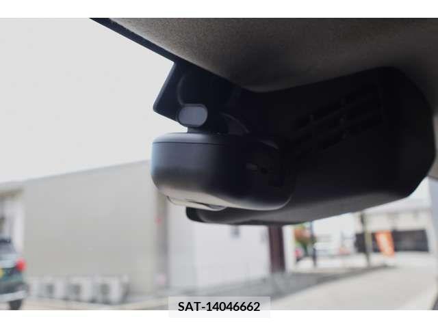 Suzuki X BEE 2019-08 333927-18
