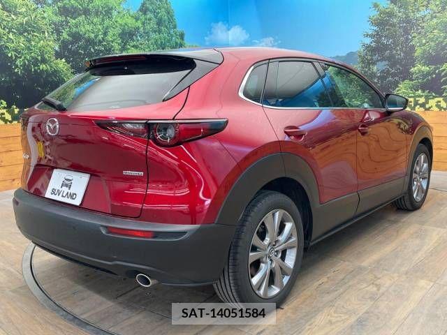 Mazda CX-30 2021-07 216162-13