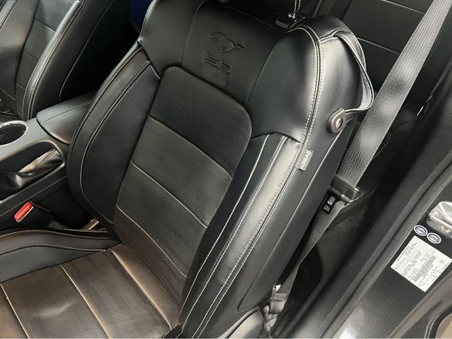 Ford MUSTANG 2015-03 23484-3
