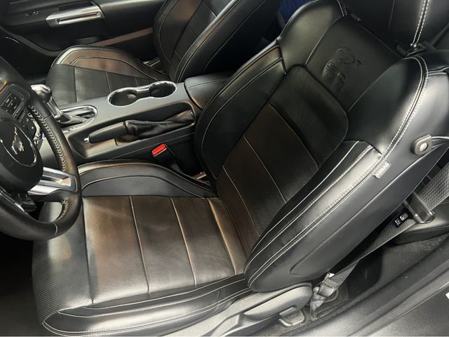 Ford MUSTANG 2015-03 23484-1