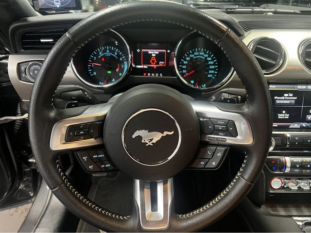 Ford MUSTANG 2015-03 23484-13