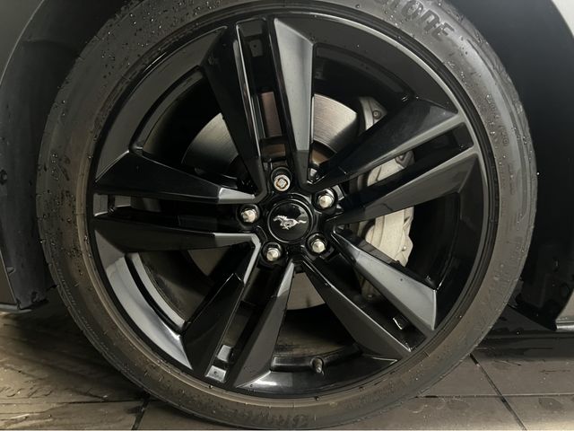 Ford MUSTANG 2015-03 23484-6