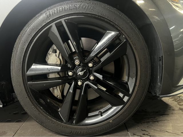 Ford MUSTANG 2015-03 23484-8