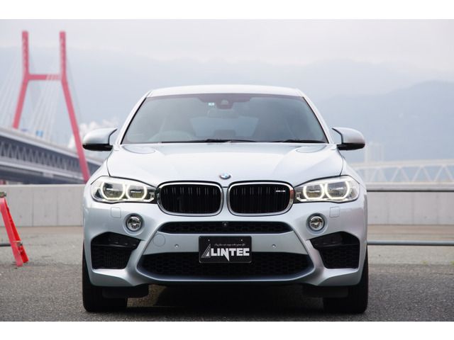 Bmw X6 2015-06 6126-1