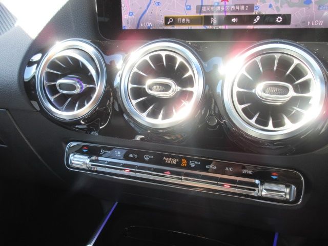 Amg A-Class 2021-01 10003-20