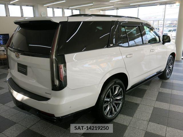 Cadillac ESCALADE 2021-12 294371-10