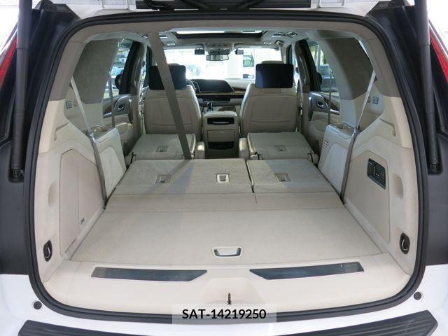 Cadillac ESCALADE 2021-12 294371-15