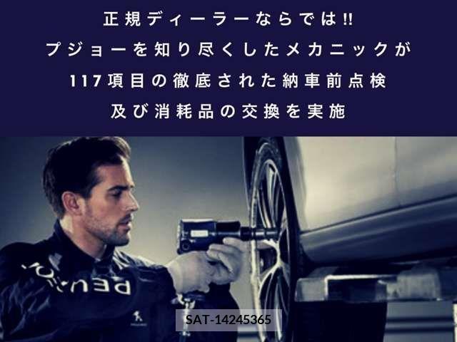 Peugeot 2008 2023-11 317391-3