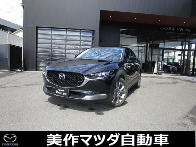 Mazda CX-30 2020-11 2652-0