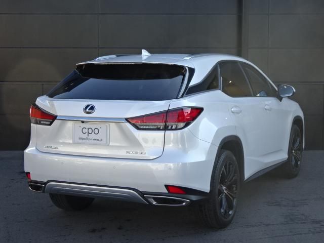 Lexus RX 2020-10 21614-3