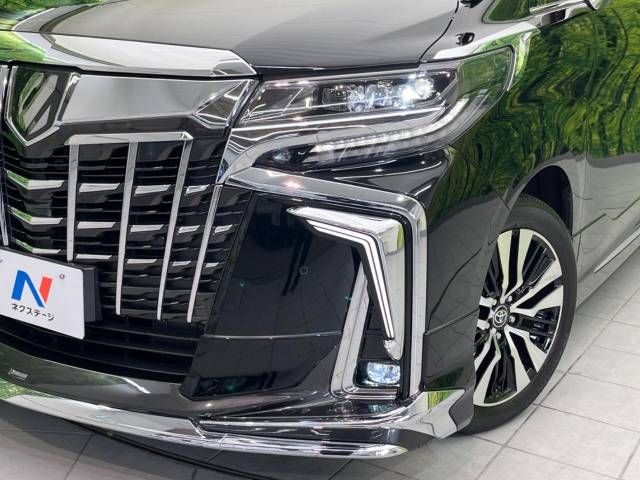 Toyota ALPHARD 2020-11 189513-13