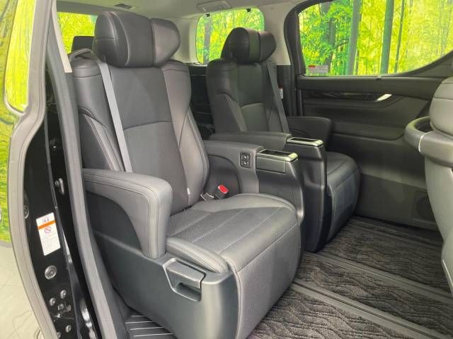 Toyota ALPHARD 2020-11 189513-9