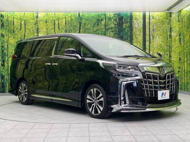 Toyota ALPHARD 2020-11 189513-17