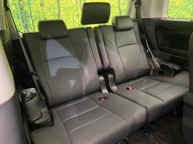 Toyota ALPHARD 2020-11 189513-10