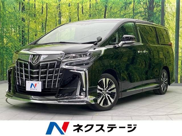 Toyota ALPHARD 2020-11 189513-0