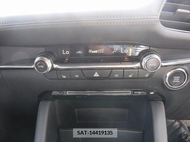 Mazda MAZDA3 2019-06 374376-15