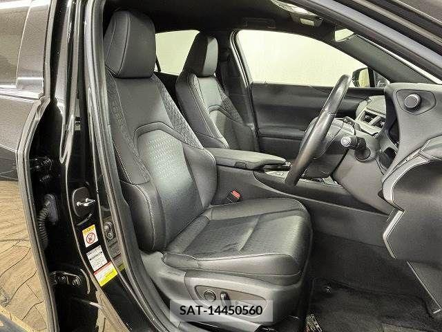 Lexus UX 2019-06 353937-4