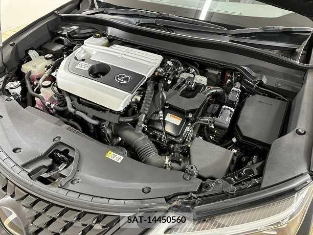 Lexus UX 2019-06 353937-17