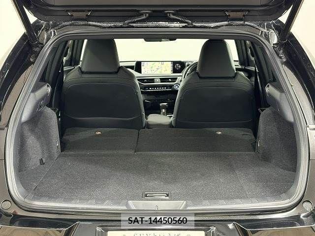 Lexus UX 2019-06 353937-12