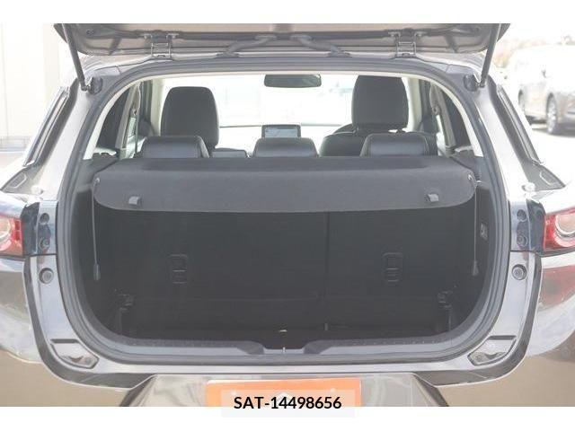 Mazda CX-3 2019-09 213146-16